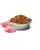 Farmina ND Pumpkin Chicken and Pomegranate 2.5 Kgs - Mini Puppy Dog Dry Food