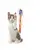 FOFOS Blocky Meow Ball Wand Cat Toy - Catnip Cat Toy
