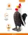 FOFOS Plush Toy, Rooster - Dog Plush Toy