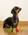 FOFOS Fruit Bites Apple Treats Dispenser Dog Toy - All Breed Puppies and Dog Toy