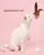 FOFOS Suction Cup Cat Toy 2 Replacements - Kitten and Cat Toy