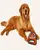 FOFOS Tough Dog Toy Strong Bull - Squeaky Plush Dog Toy