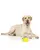 FOFOS Vegi Bites Corn Squeaker Toy - Puppies and Adult Dogs