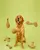 FOFOS Woodplay Drumstick Dog Chew Toy - Puppies and Adult Dog Toy