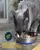 Durapet Stainless Steel Cat Dish/Bowl, 190ml - Kitten Adult Cat