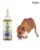Petlogix Relaxing and Healing Dog Oil,150 ml - Dogs and Cats