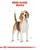 Royal Canin Beagle Adult - Dog Dry Food