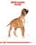 Royal Canin Boxer - Puppy Dry Food