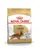 Royal Canin Cocker Spaniel Adult - Dog Dry Food