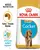 Royal Canin Cocker Spaniel Puppy - Dog Dry Food