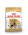 Royal Canin German Shepherd Adult - Dog Dry Food