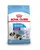 Royal Canin Giant Breed Starter - Dog Dry Food