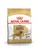 Royal Canin Golden Retriever Adult Dog Food - Dog Dry Food