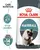 Royal Canin Hairball Care - Cat Dry Food