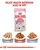 Royal Canin Kitten 36 - Second Age - Dry Cat Food