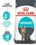 Royal Canin Urinary Care - Cat Dry Food