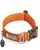 Ruffwear Front Range Dog Collar,Campfire Orange