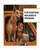 Ruffwear Front Range Dog Harness - Campfire Orange (Reflective Padded Harness for Training Everyday Wear)