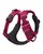 Ruffwear Front Range Dog Harness - Hibiscus Pink (Reflective Padded Harness for Training Everyday Wear)