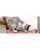 Trixie Wild Cat Scratching Board with Catnip,Orange - Cat Kitten