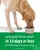 Tropiclean Fresh Breath Water Additive, Dogs,235 ml