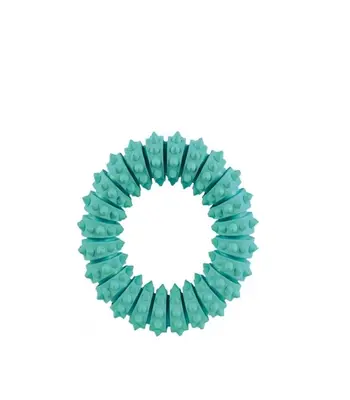 Trixie Natural Denta Fun Ring, Mint Flavour 12 cm