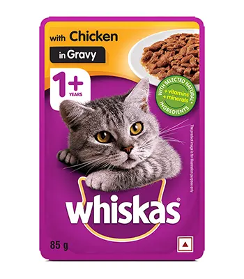 Whiskas Adult Cats (1+Years) Chicken in Gravy Flavour,Wet Cat Food, 85g