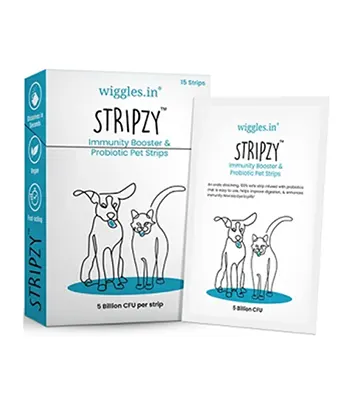 Wiggles Stripzy Immunity Booster and Probiotic Pet Strips - Dogs and Cats - 15 Strips